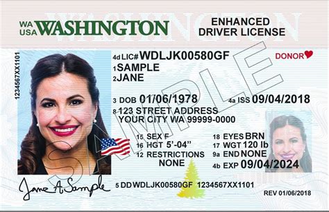 Washington drivers license renewal. Things To Know About Washington drivers license renewal. 